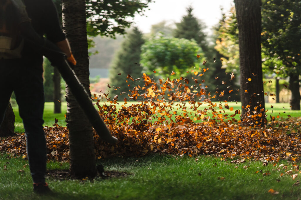 Leaf Clean up services