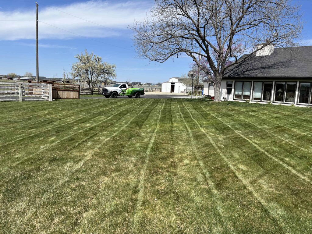 Gator Grass Maintenance